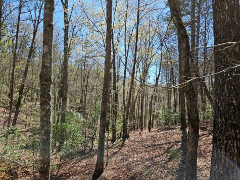 5.2 Deer Crest Road Blue Ridge GA 30513