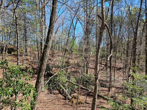 5.2 Deer Crest Road Blue Ridge GA 30513