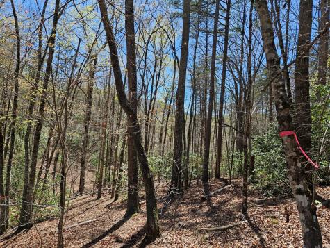 5.2 Deer Crest Road Blue Ridge GA 30513