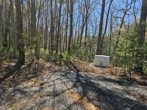 5.2 Deer Crest Road Blue Ridge GA 30513