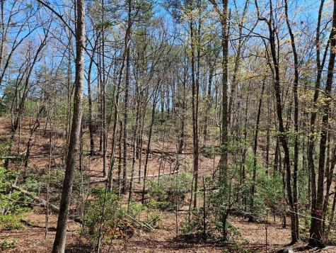 5.2 Deer Crest Road Blue Ridge GA 30513