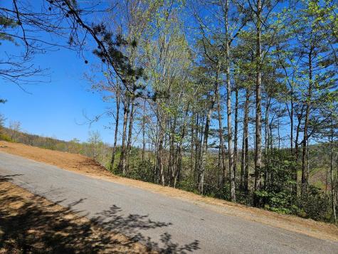 5.2 Deer Crest Road Blue Ridge GA 30513