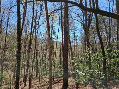 5.2 Deer Crest Road Blue Ridge GA 30513