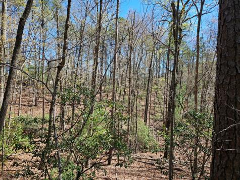 5.2 Deer Crest Road Blue Ridge GA 30513