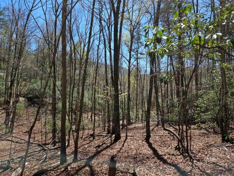 5.2 Deer Crest Road Blue Ridge GA 30513