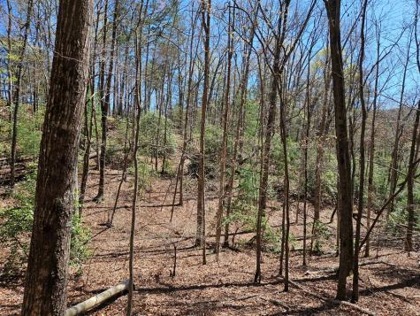 5.2 Deer Crest Road Blue Ridge GA 30513