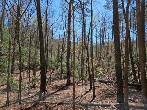 5.2 Deer Crest Road Blue Ridge GA 30513