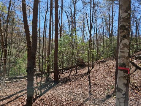 5.2 Deer Crest Road Blue Ridge GA 30513