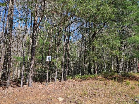 5.2 Deer Crest Road Blue Ridge GA 30513