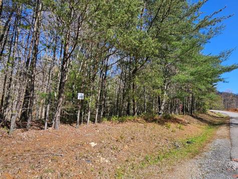 5.2 Deer Crest Road Blue Ridge GA 30513