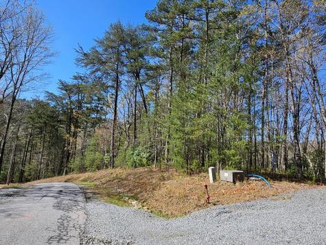 5.2 Deer Crest Road Blue Ridge GA 30513