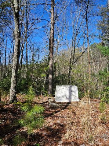 5.2 Deer Crest Road Blue Ridge GA 30513