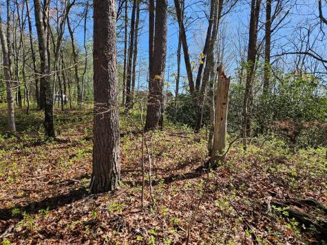 5.2 Deer Crest Road Blue Ridge GA 30513