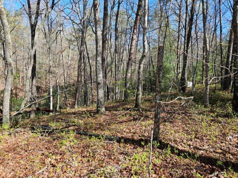 5.2 Deer Crest Road Blue Ridge GA 30513