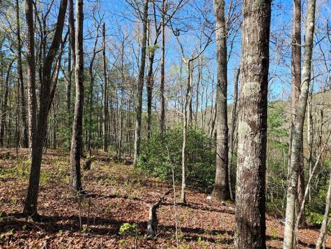 5.2 Deer Crest Road Blue Ridge GA 30513