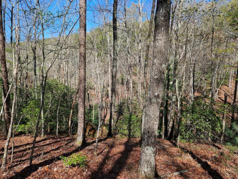 5.2 Deer Crest Road Blue Ridge GA 30513