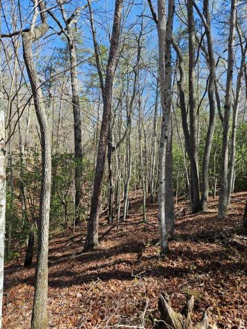 5.2 Deer Crest Road Blue Ridge GA 30513