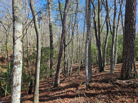 5.2 Deer Crest Road Blue Ridge GA 30513