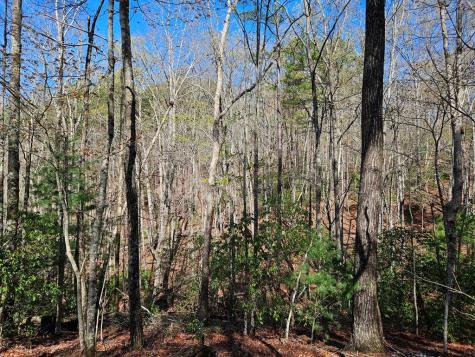 5.2 Deer Crest Road Blue Ridge GA 30513