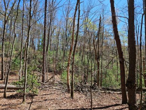 5.2 Deer Crest Road Blue Ridge GA 30513