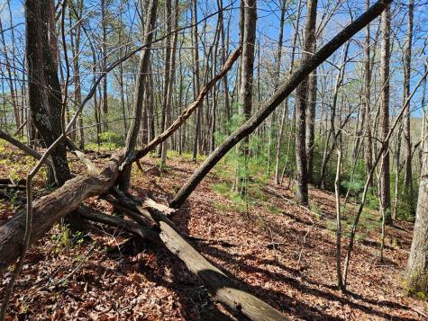 5.2 Deer Crest Road Blue Ridge GA 30513