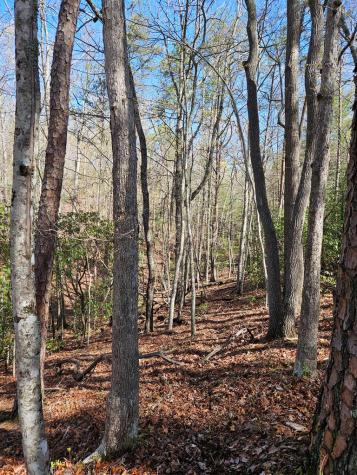 5.2 Deer Crest Road Blue Ridge GA 30513