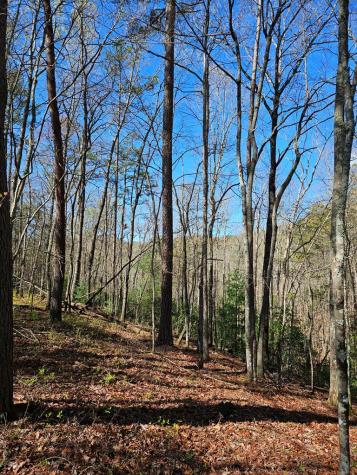 5.2 Deer Crest Road Blue Ridge GA 30513