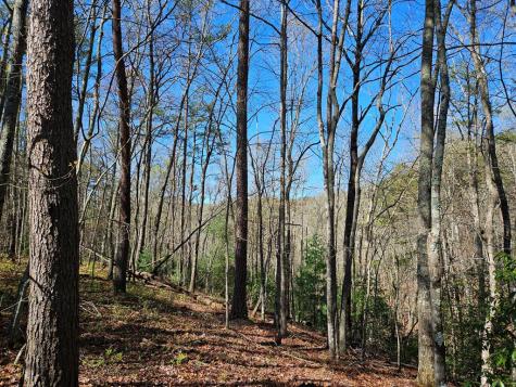 5.2 Deer Crest Road Blue Ridge GA 30513