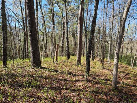 5.2 Deer Crest Road Blue Ridge GA 30513