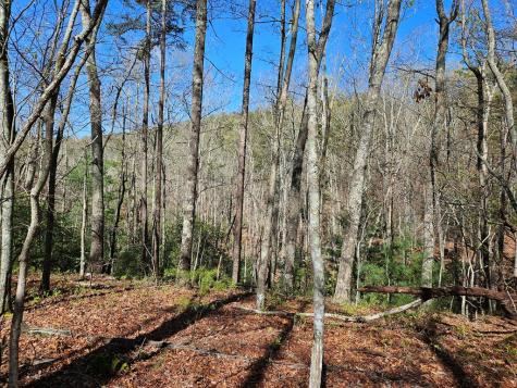 5.2 Deer Crest Road Blue Ridge GA 30513