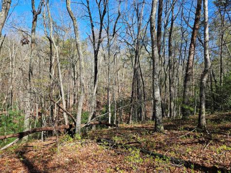 5.2 Deer Crest Road Blue Ridge GA 30513