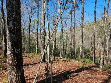 5.2 Deer Crest Road Blue Ridge GA 30513