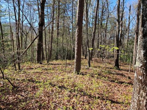 5.2 Deer Crest Road Blue Ridge GA 30513