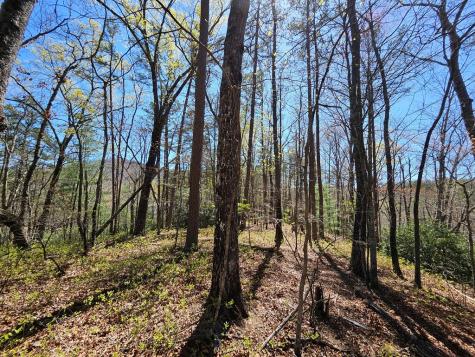 5.2 Deer Crest Road Blue Ridge GA 30513