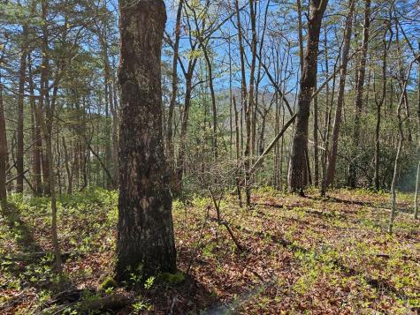 5.2 Deer Crest Road Blue Ridge GA 30513