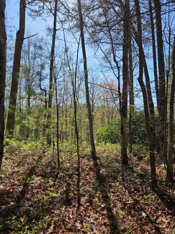 5.2 Deer Crest Road Blue Ridge GA 30513