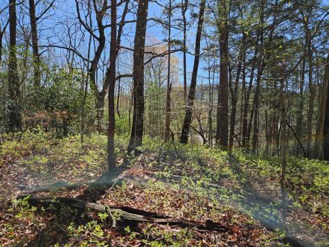 5.2 Deer Crest Road Blue Ridge GA 30513