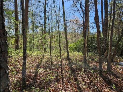 5.2 Deer Crest Road Blue Ridge GA 30513