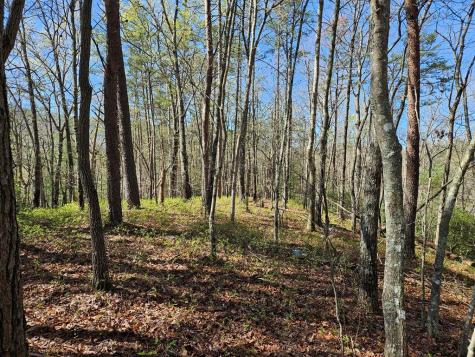 5.2 Deer Crest Road Blue Ridge GA 30513