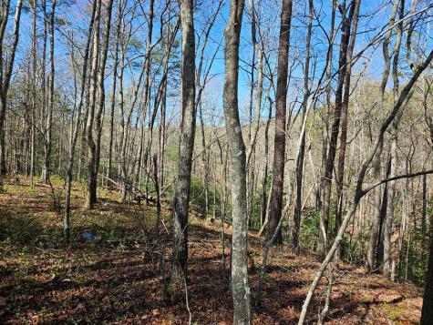 5.2 Deer Crest Road Blue Ridge GA 30513