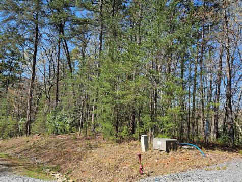 5.2 Deer Crest Road Blue Ridge GA 30513