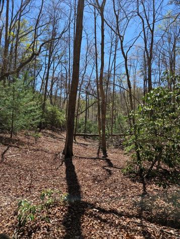 5.2 Deer Crest Road Blue Ridge GA 30513