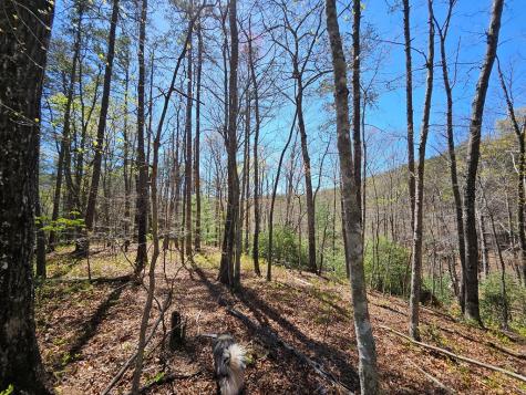 5.2 Deer Crest Road Blue Ridge GA 30513