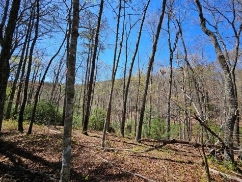 5.2 Deer Crest Road Blue Ridge GA 30513