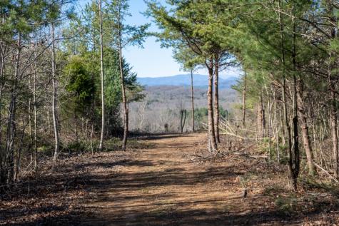 41AC Loving Road Blairsville GA 30512