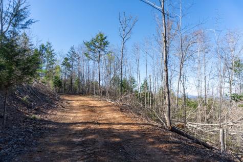 41AC Loving Road Blairsville GA 30512