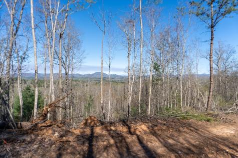 41AC Loving Road Blairsville GA 30512