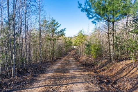 41AC Loving Road Blairsville GA 30512