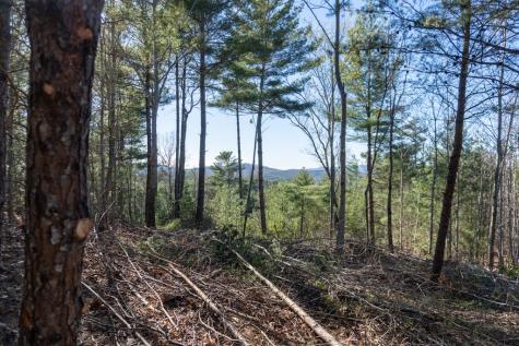 41AC Loving Road Blairsville GA 30512
