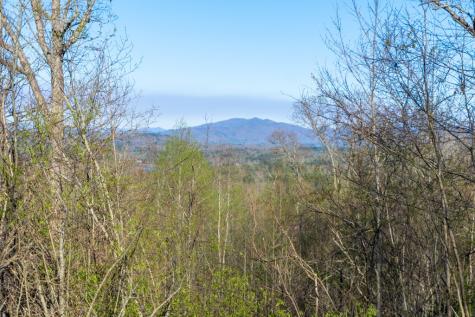 41AC Loving Road Blairsville GA 30512